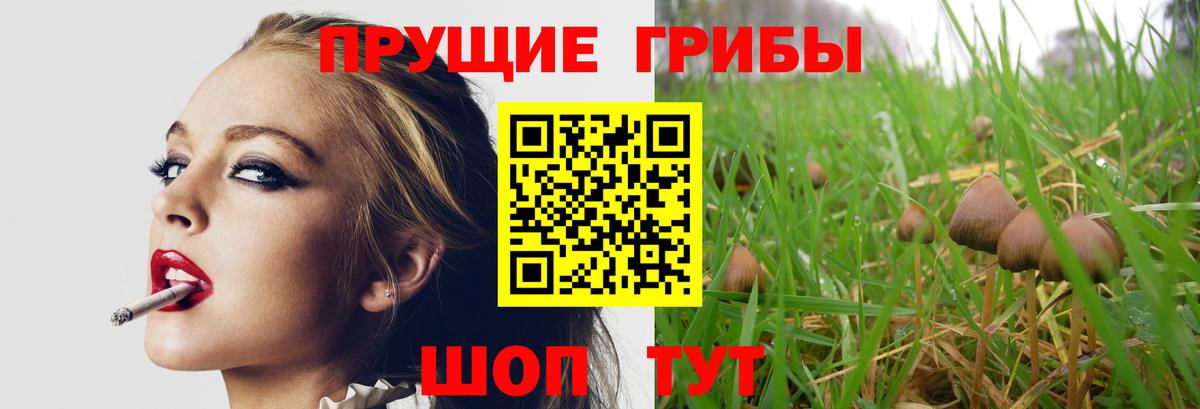 МЕФ Каменск-Уральский