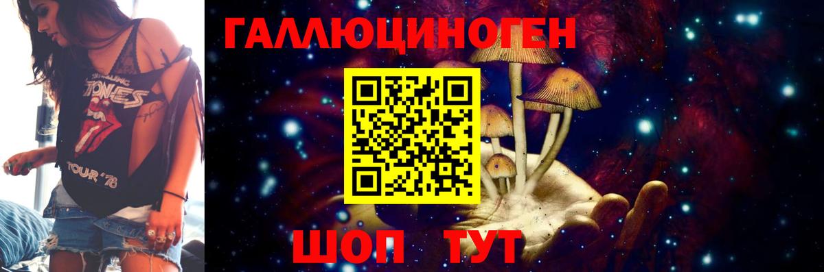 Псилоцибиновые грибы прущие грибы  Галлюциногенные грибы мицелий  купить закладку  Каменск-Уральский  Вход с VPN 